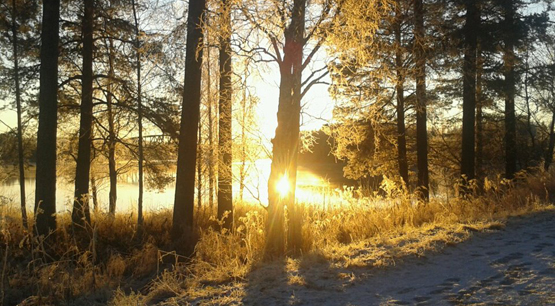 Sidbild mål och vision, foto Mona Jakobsson.jpg