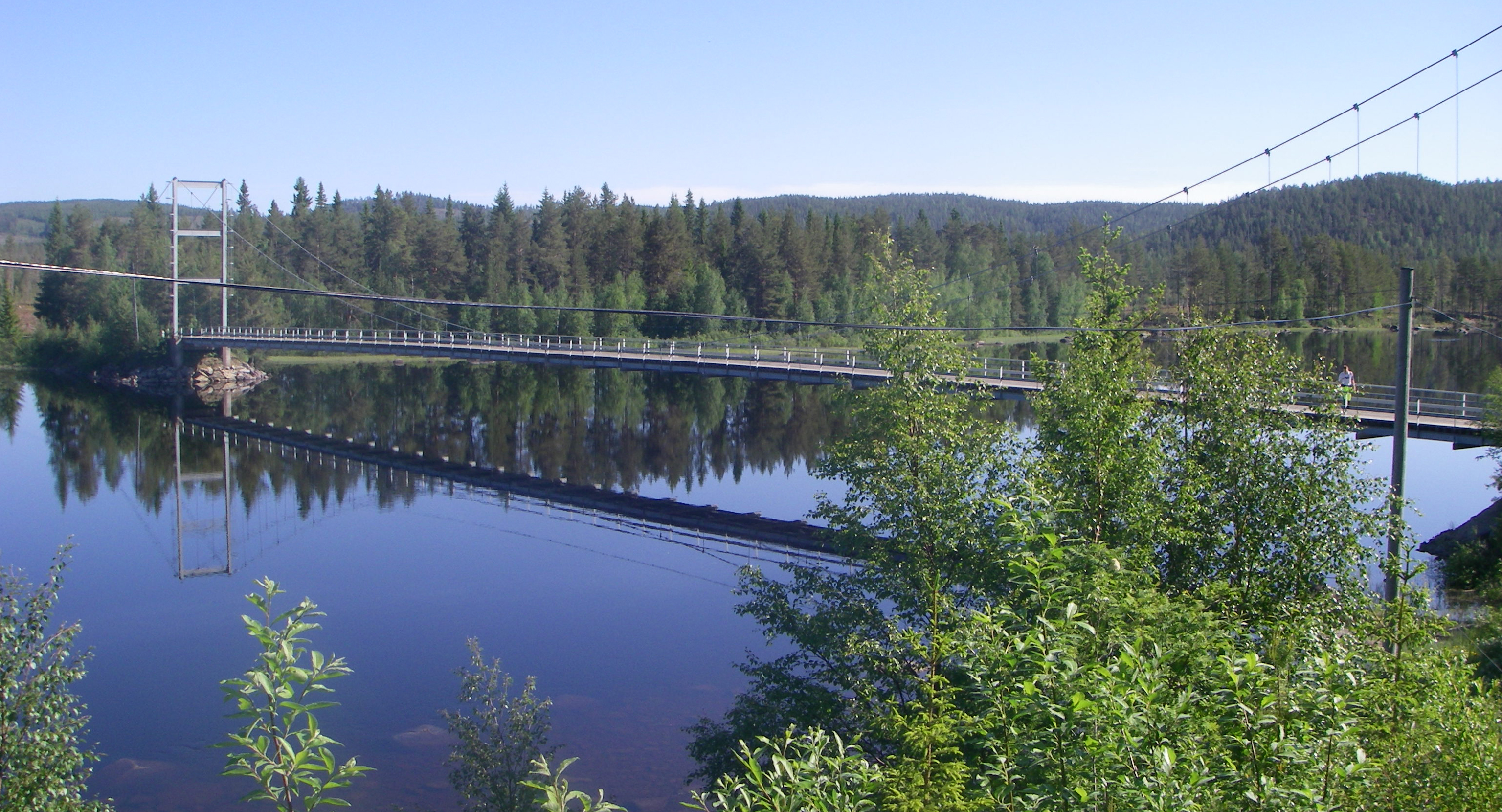 bild på bron med skog runtomkring