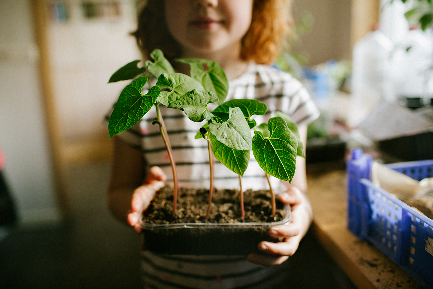 Barn som håller i växt